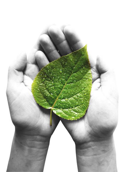 Green Impact Green Impact