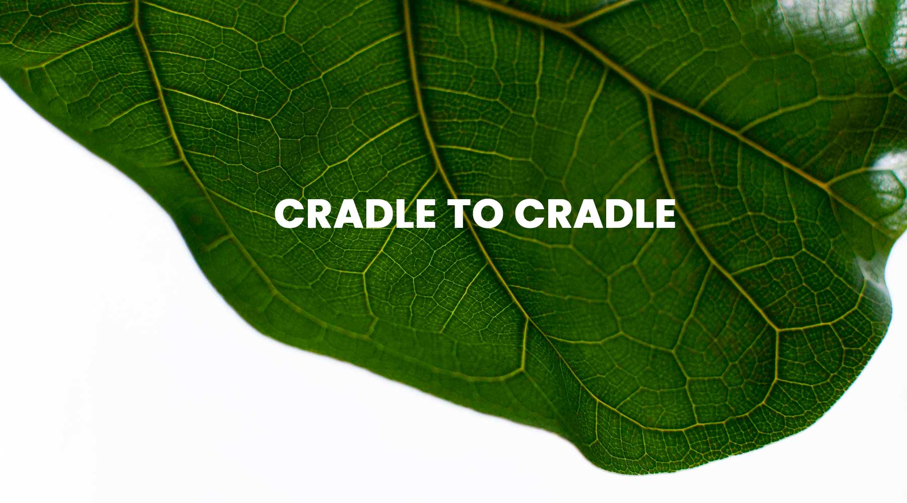 Certificazione Cradle to Cradle pavimenti sopraelevati