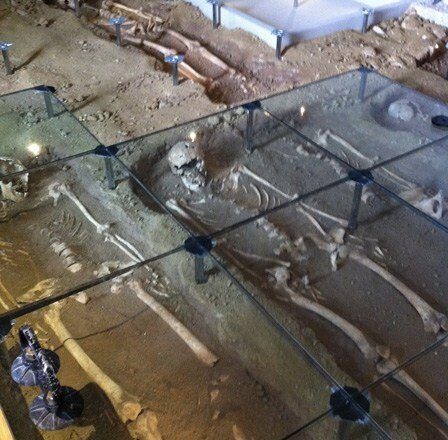 Nesite al museo archeologico di Pordenone