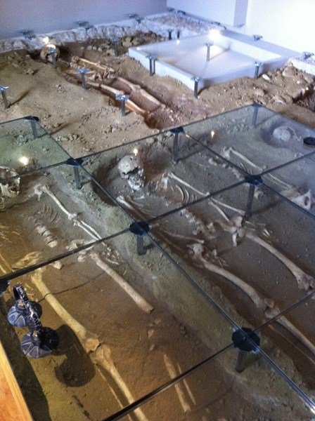 Nesite al museo archeologico di Pordenone