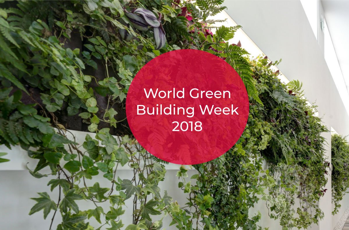 pavimenti sopraelevati per edifici green