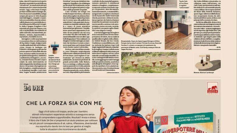 Nesite su il Sole 24 ore