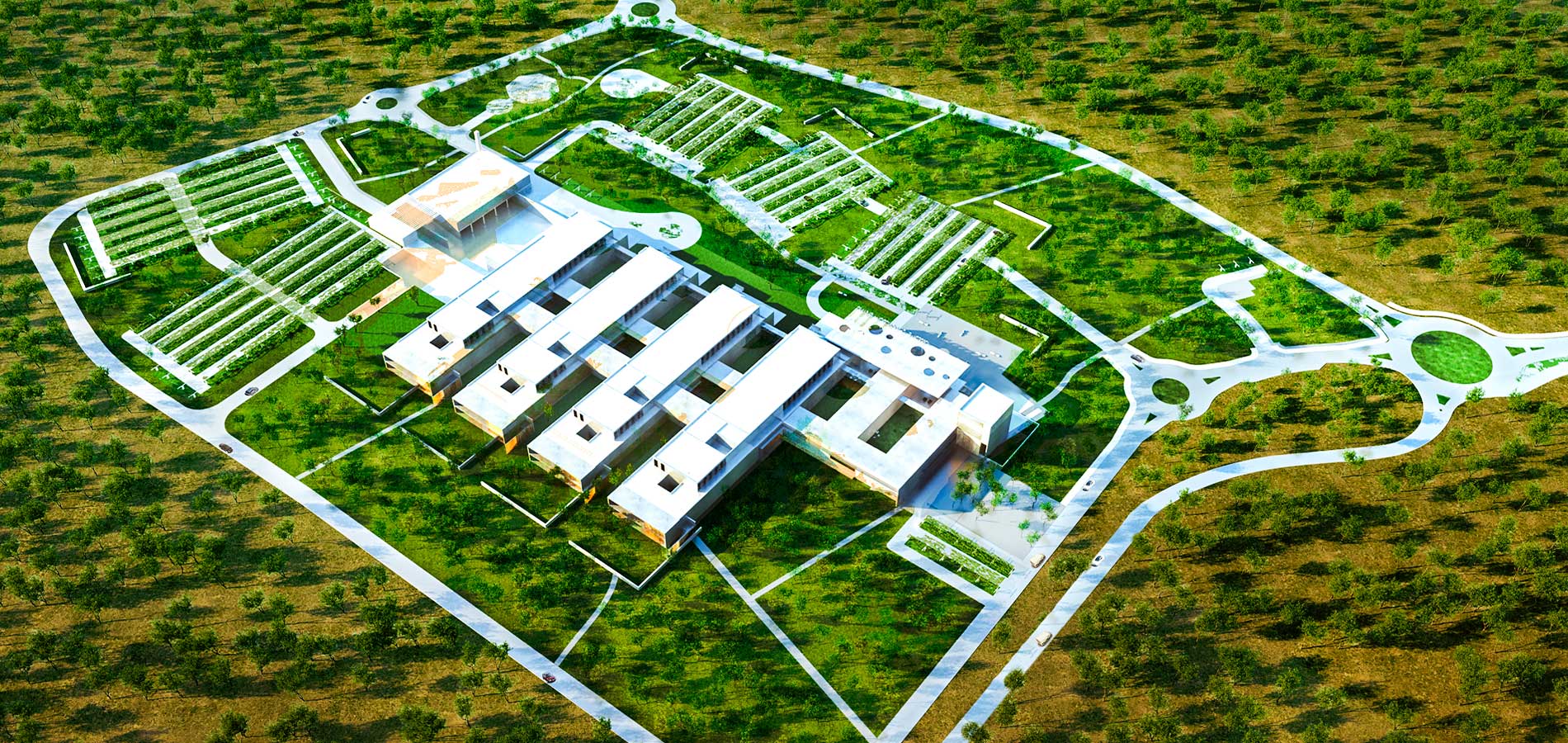 Nuovo Ospedale Monopoli - Fasano