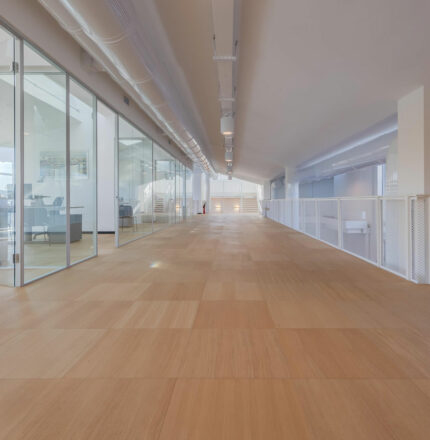 Pavimenti sopraelevati Lundbeck Hq