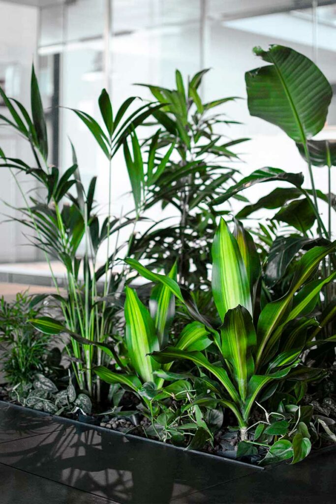 Sustainability targets Nesite