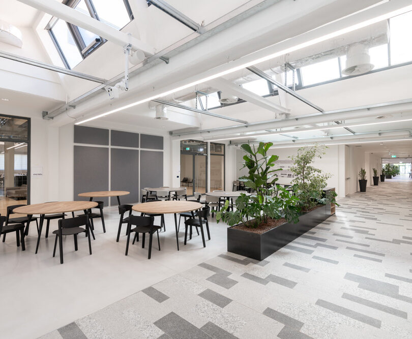 Suelo Elevado Con Acabado De Gres - Nesite